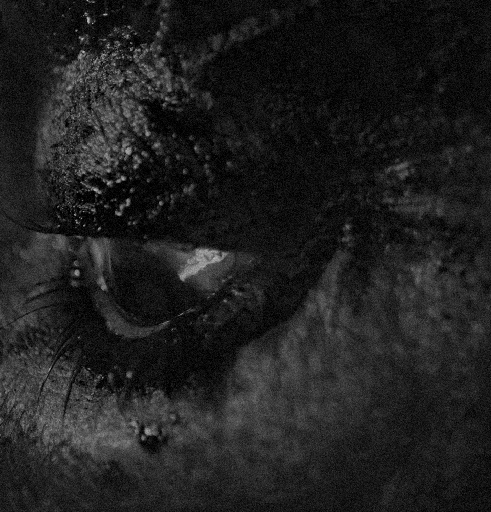 Ojo con sangre, portada de campaña "Help needs Help"